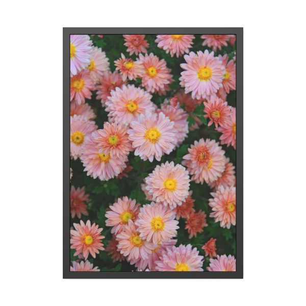 Beautiful Pink Flowers Framed Poster