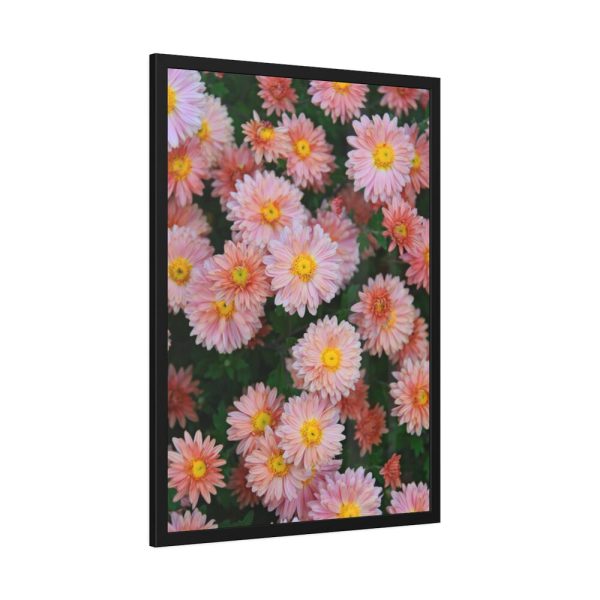 Beautiful Pink Flowers Framed Poster