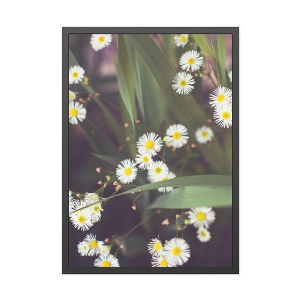 93830-88.jpg Tiny White Daisy Flowers Framed Poster