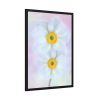 93830-93.jpg Two White Beautiful Flowers Framed Poster