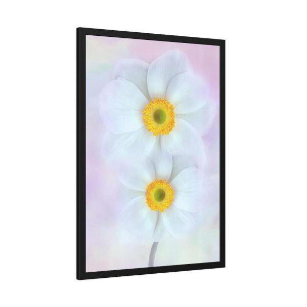93830-93.jpg Two White Beautiful Flowers Framed Poster