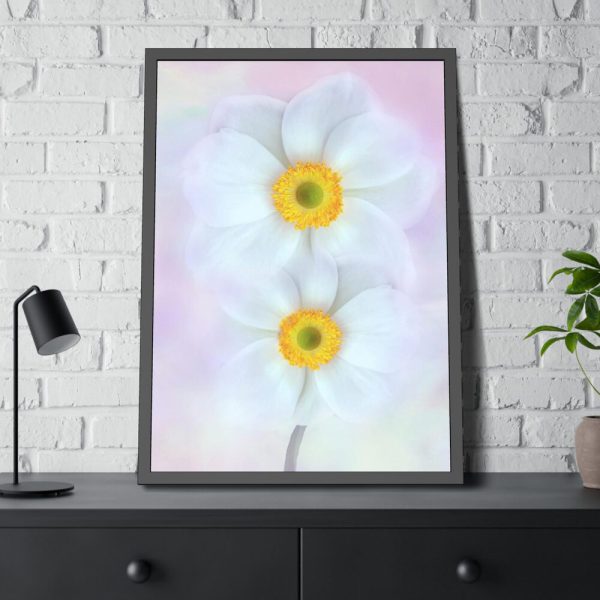 93830-95.jpg Two White Beautiful Flowers Framed Poster