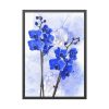 Phalaenopsis Orchid Flower Framed Poster