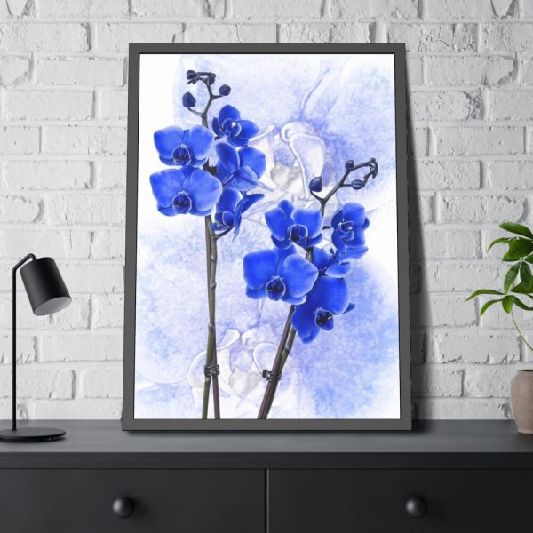 Phalaenopsis Orchid Flower Framed Poster