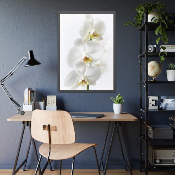 White Orchid Framed Poster