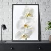 White Orchid Framed Poster