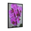 Purple Orchid Framed Poster