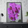 Purple Orchid Framed Poster