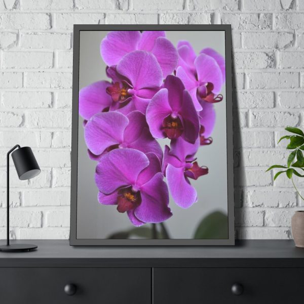 Purple Orchid Framed Poster