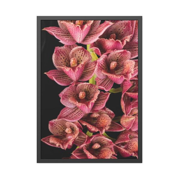 93831-112.jpg Catasetum Orchidglade Framed Poster