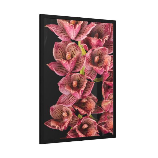 93831-113.jpg Catasetum Orchidglade Framed Poster