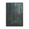 93831-124.jpg A Small Clearing in a Lush Forest Framed Poster