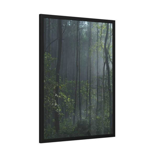 93831-125.jpg A Small Clearing in a Lush Forest Framed Poster