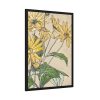 93831-29.jpg Sunflowers by Hannah Borger Overbeck Framed Poster
