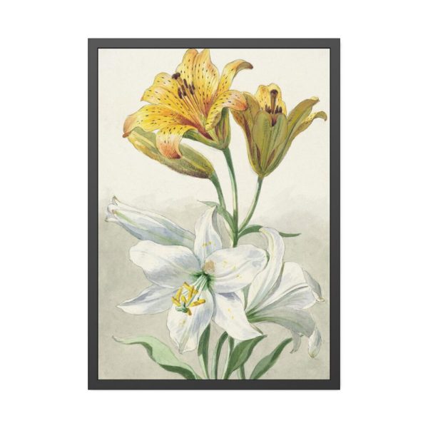 93831-52.jpg Yellow and White Lilies by William van Leen Framed Poster