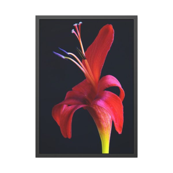 93831-60.jpg Red Flower Framed Poster