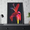 93831-63.jpg Red Flower Framed Poster