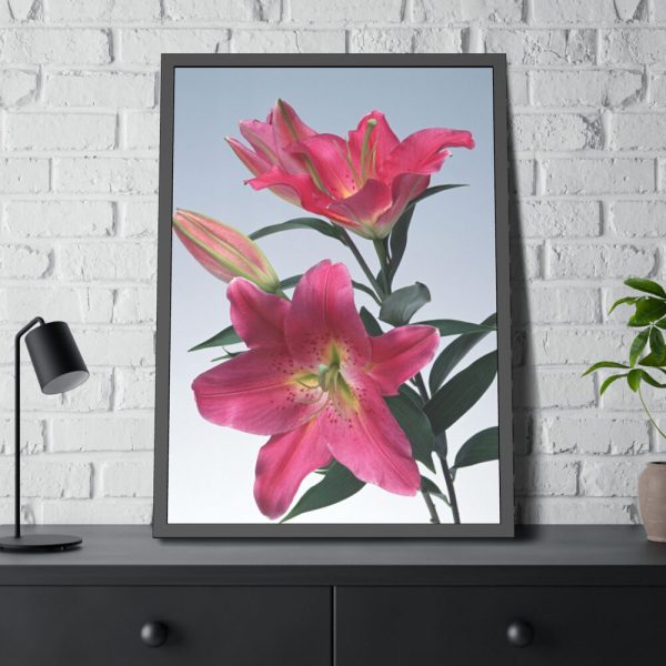 93831-67.jpg Pink Tiger Lily Framed Poster