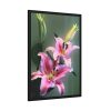 Beautiful Lily Framed Poster