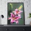 Beautiful Lily Framed Poster
