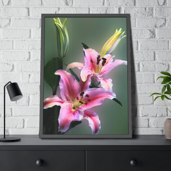 Beautiful Lily Framed Poster