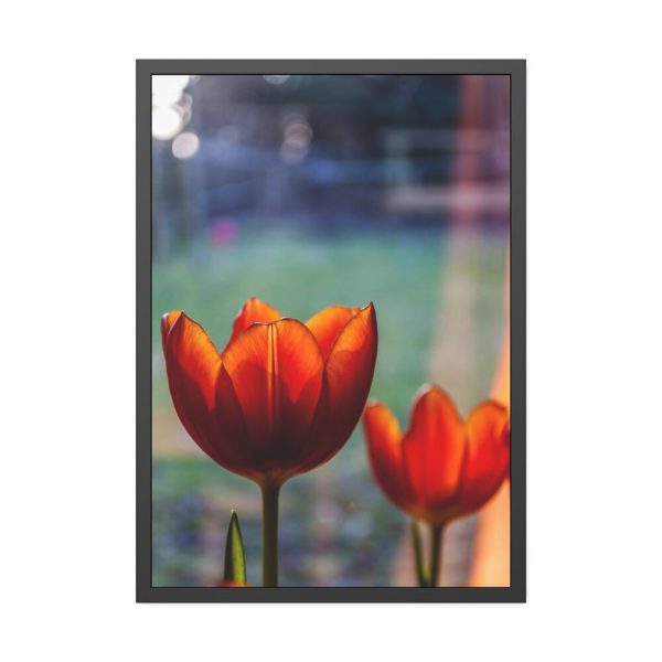 93831-76.jpg Spring Framed Poster