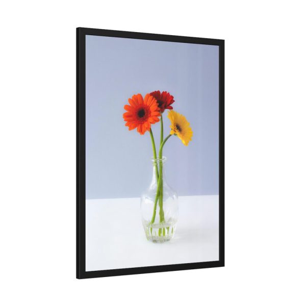 93831-81.jpg Three Daisies Framed Poster