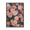 Beautiful Pink Flowers Framed Poster