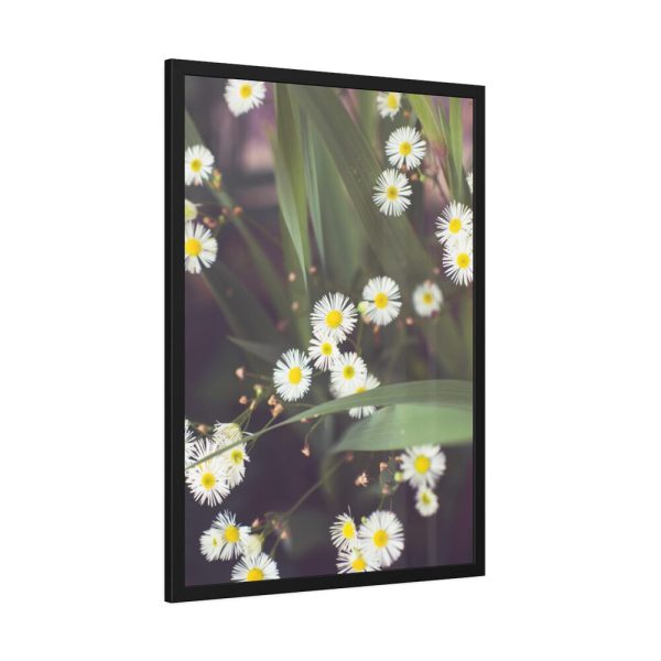 93831-89.jpg Tiny White Daisy Flowers Framed Poster