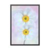 93831-92.jpg Two White Beautiful Flowers Framed Poster