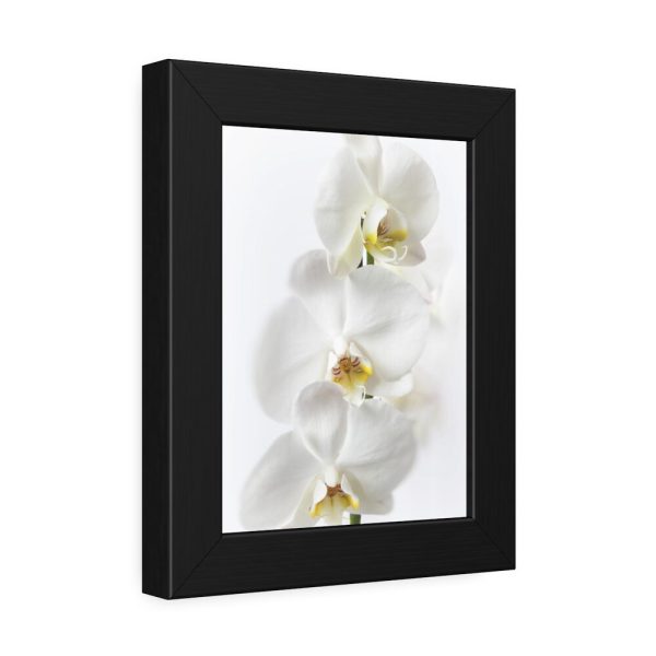 White Orchid Framed Poster