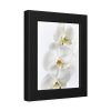 White Orchid Framed Poster