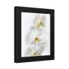 White Orchid Framed Poster