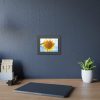 93836-14.jpg Sunflower with Blue Sky Framed Poster