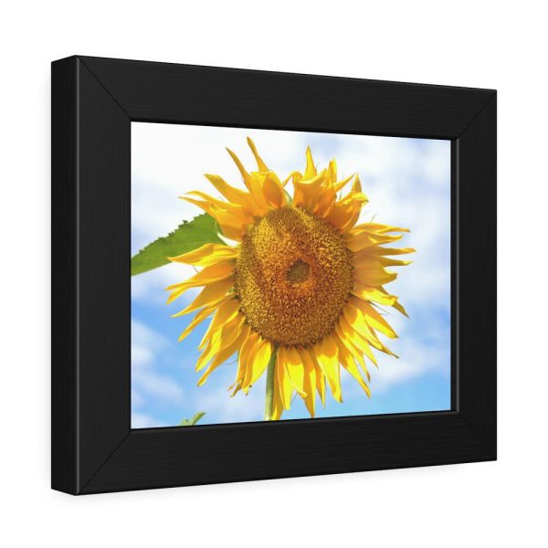 93837-13.jpg Sunflower with Blue Sky Framed Poster
