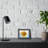 93837-15.jpg Sunflower with Blue Sky Framed Poster