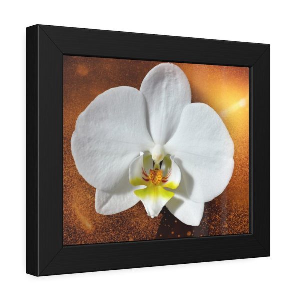 Blossom Orchid Flower Framed Poster