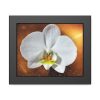Blossom Orchid Flower Framed Poster