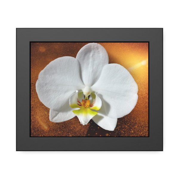Blossom Orchid Flower Framed Poster