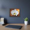 Blossom Orchid Flower Framed Poster