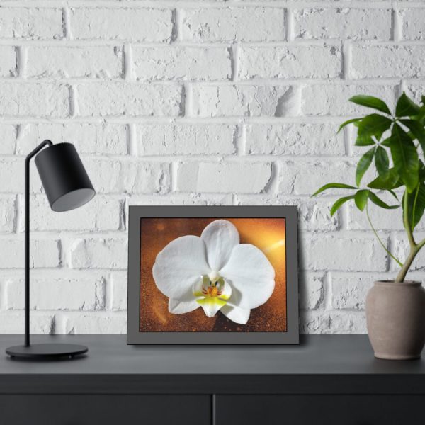 Blossom Orchid Flower Framed Poster