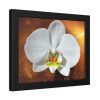 Blossom Orchid Flower Framed Poster