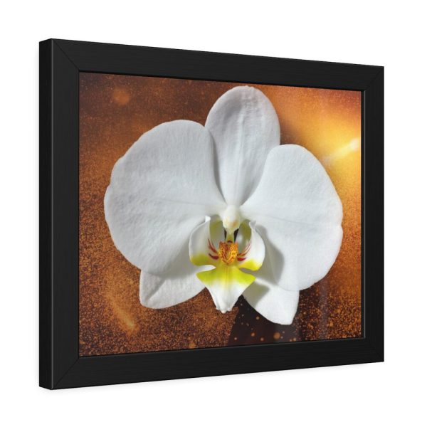 Blossom Orchid Flower Framed Poster