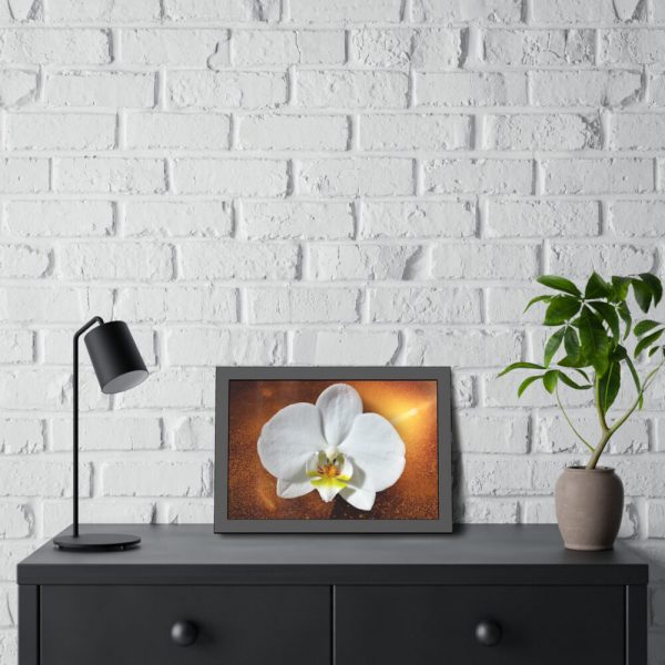 Blossom Orchid Flower Framed Poster