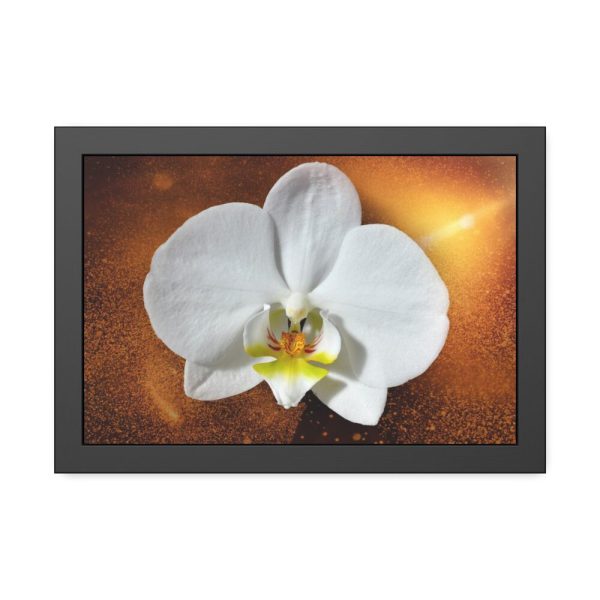 Blossom Orchid Flower Framed Poster