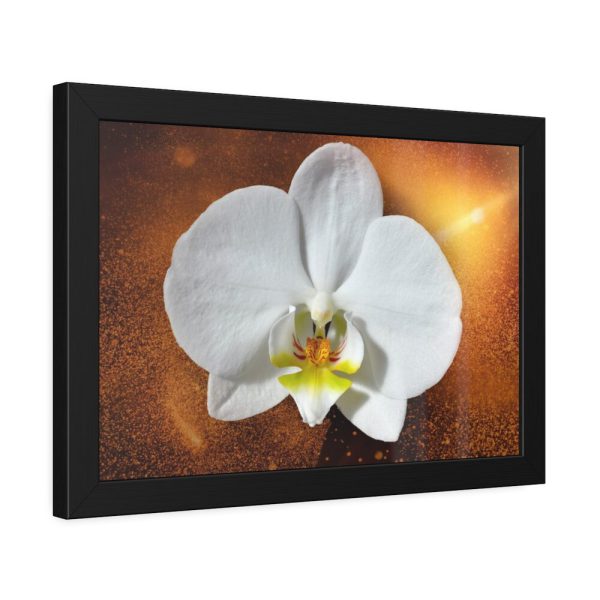 Blossom Orchid Flower Framed Poster