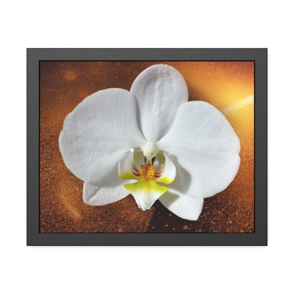 Blossom Orchid Flower Framed Poster
