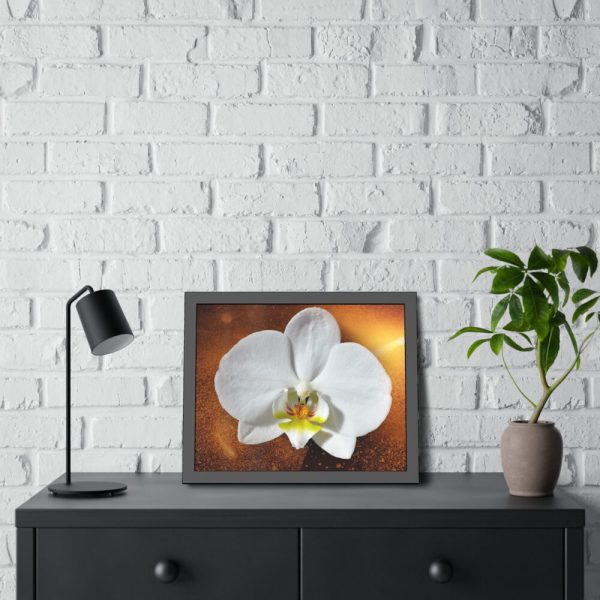 Blossom Orchid Flower Framed Poster