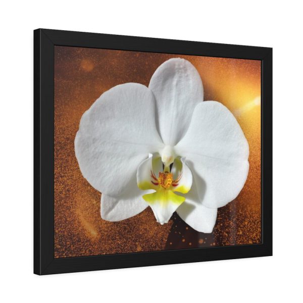 Blossom Orchid Flower Framed Poster