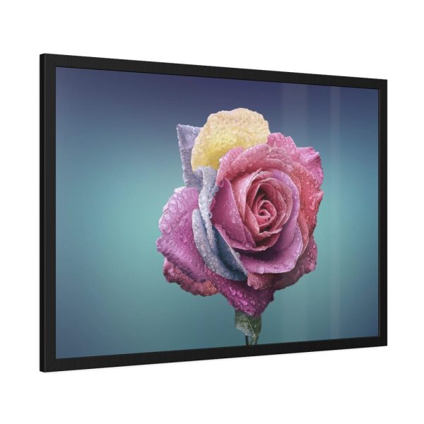 93854-101.jpg Multicolorful Rose Framed Poster